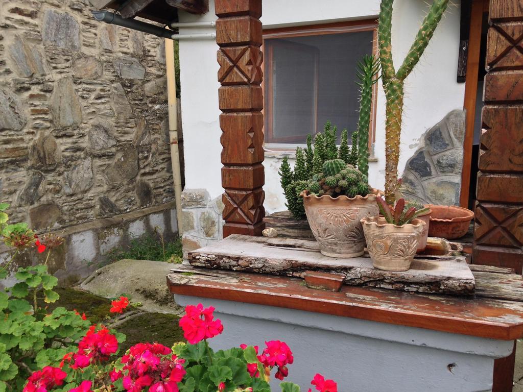 Petra Apartmanok Velem Exterior foto